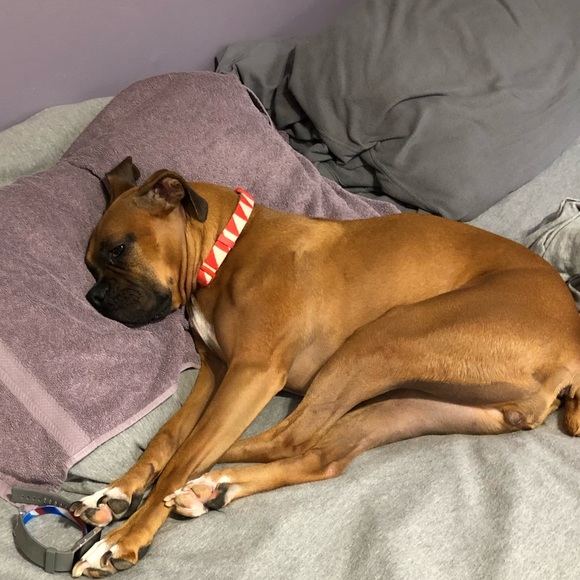 Meet your Posher, Dawn - Picture 1 of 1